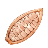cacao-abierto